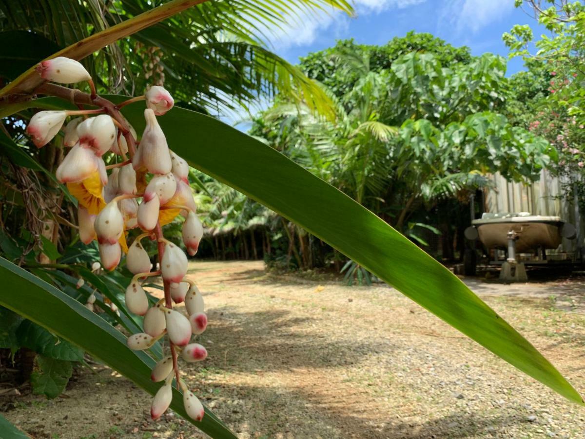 Villa Sound Of The Surf Ishigaki  Bagian luar foto