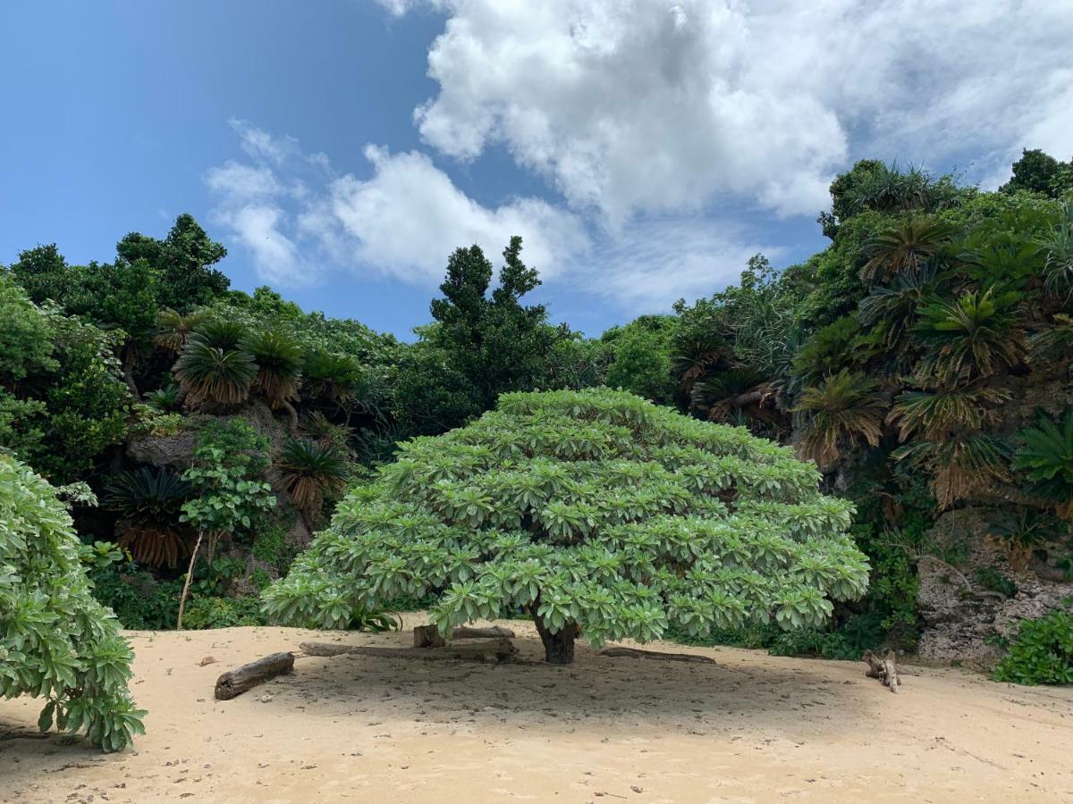 Villa Sound Of The Surf Ishigaki  Bagian luar foto